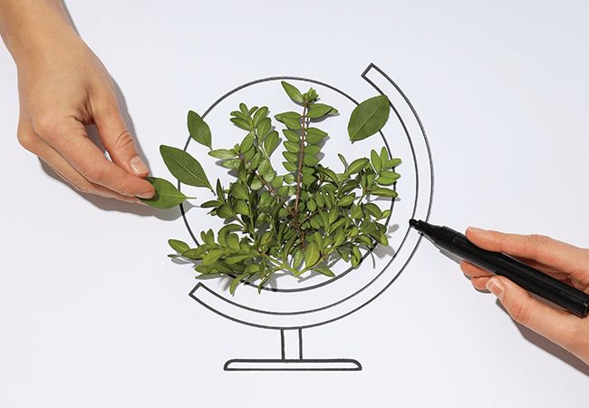 Sourcing with a Conscience: How Lucro is Cleaning Up Waste Management, Responsibly