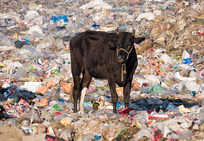 Key Takeaways from the amended Plastic Waste Management Rules