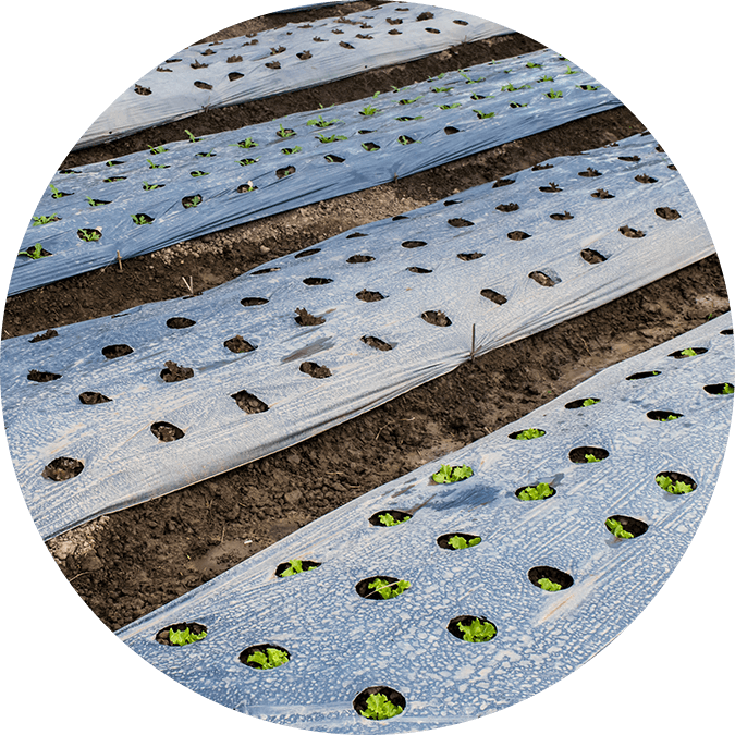 Agri & Mulch film
